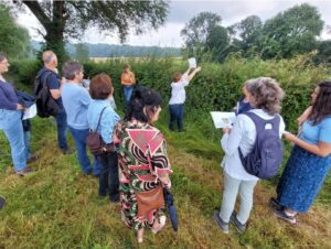 copyright-harry-heuts-de-limburger