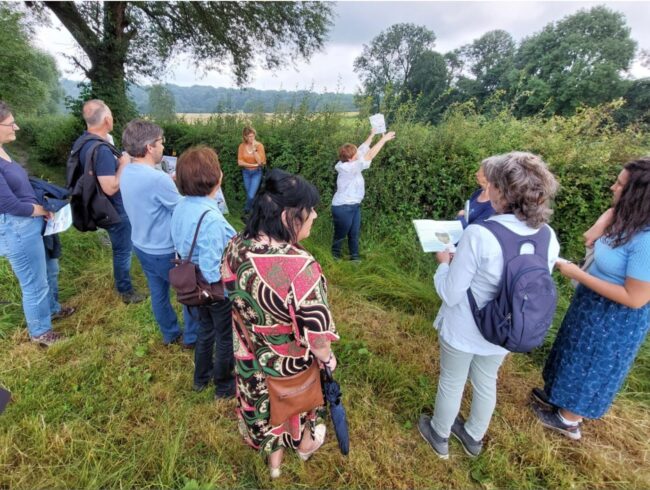 copyright-harry-heuts-de-limburger